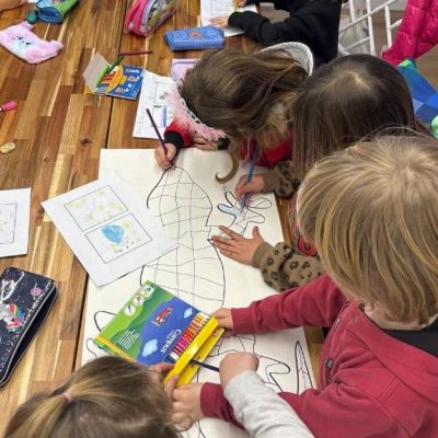 Moma New School -  - feyhwer